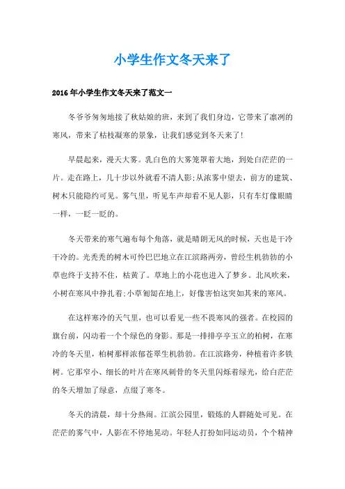 小学生作文冬天来了2