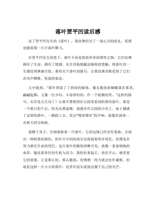 落叶贾平凹读后感