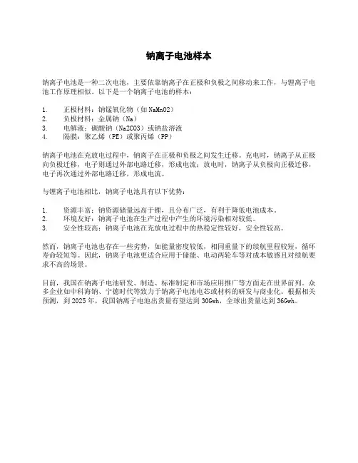 钠离子电池样本