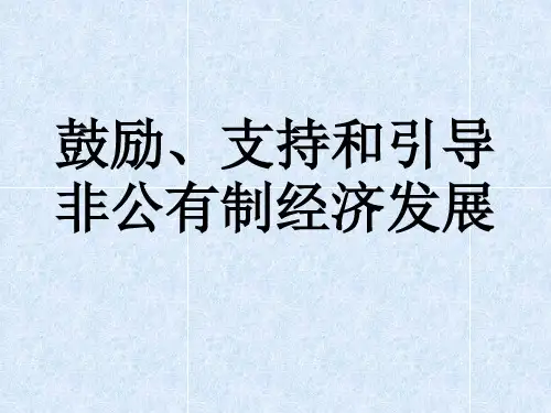 鼓励支持和引导非公有制经济发展 (1)