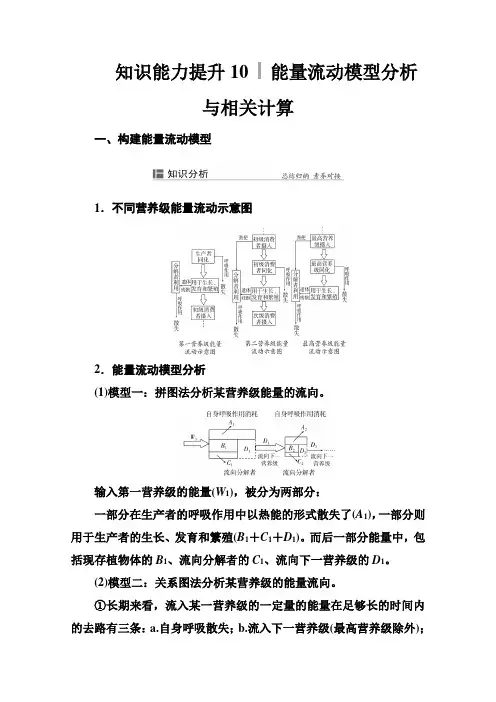 新教材高考生物选择性考试一轮总复习知识能力提升10能量流动模型分析与相关计算