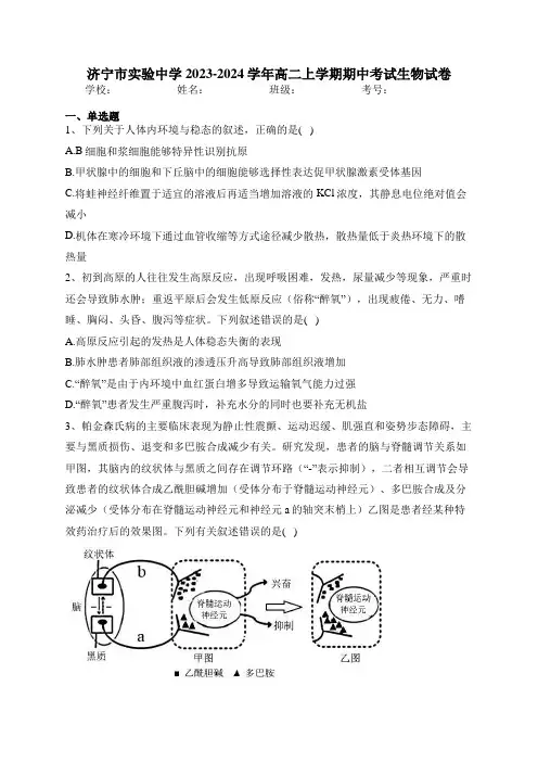 济宁市实验中学2023-2024学年高二上学期期中考试生物试卷(含答案)