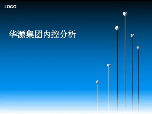 华源集团内控分析