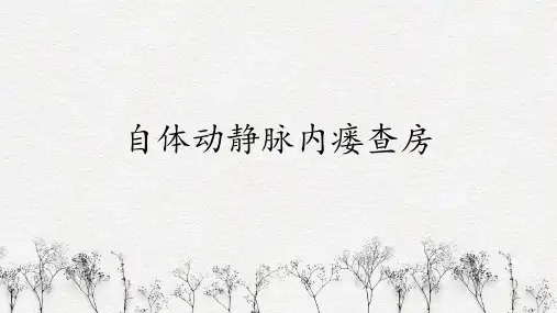 动静脉内瘘护理查房