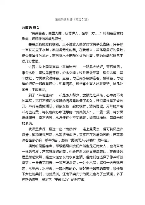 蒹葭的读后感（精选3篇）