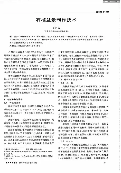石榴盆景制作技术