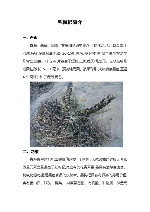 黑枸杞简介