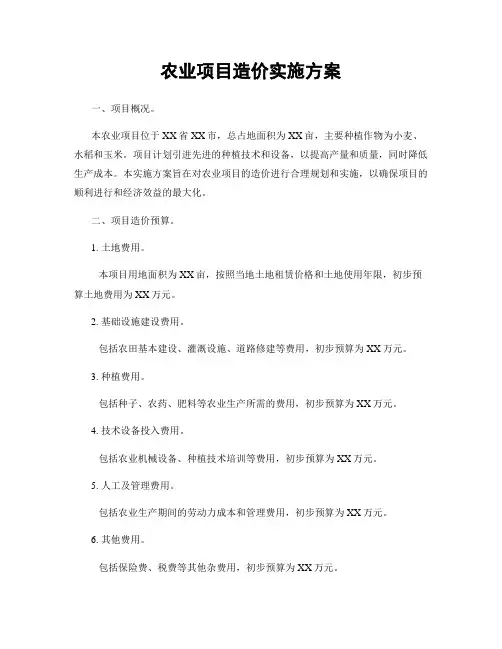 农业项目造价实施方案