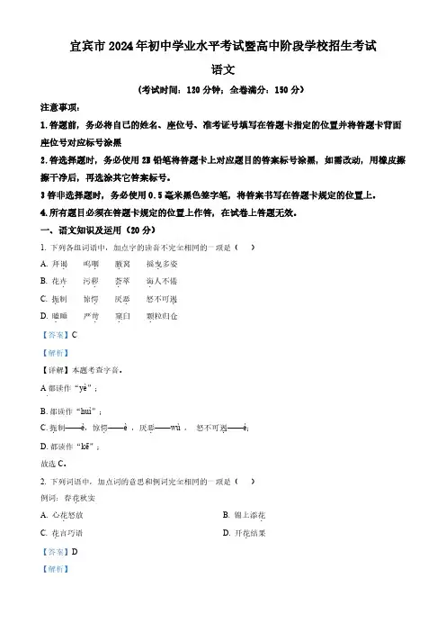 2024年四川省宜宾市中考语文真题(解析版)
