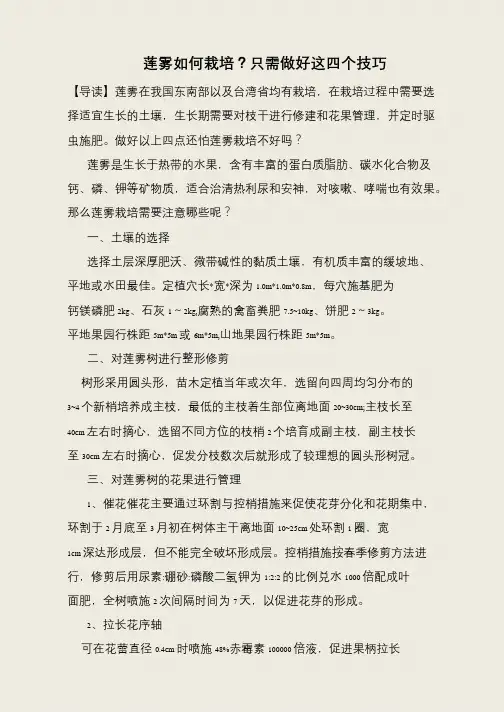 莲雾如何栽培？只需做好这四个技巧