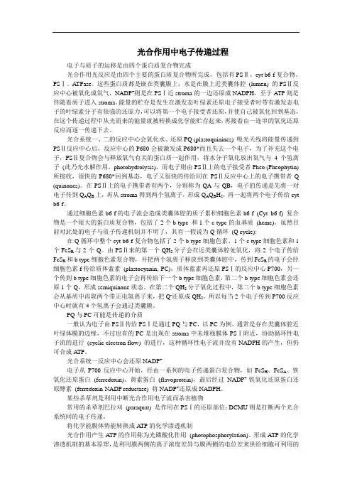 最新高一生物-光合作用中电子传递过程 经典