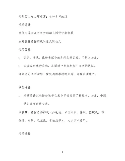 幼儿园大班主题教案：各种各样的线