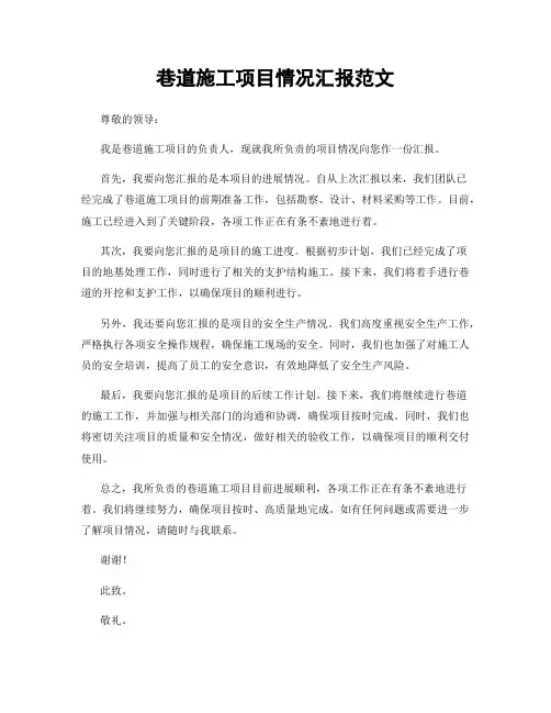 巷道施工项目情况汇报范文