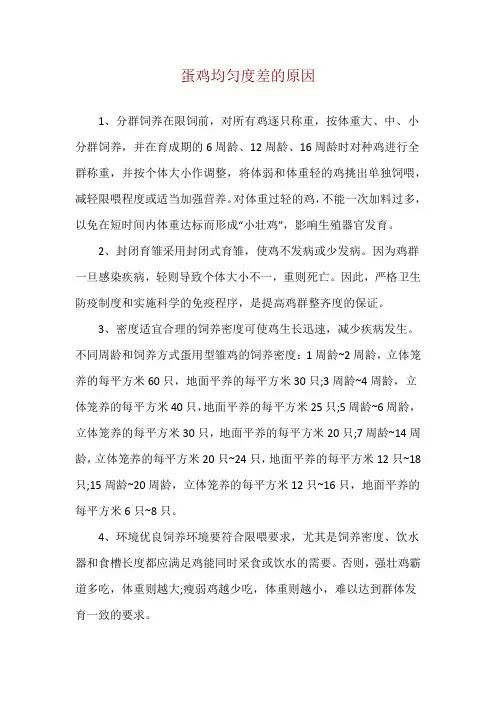 蛋鸡均匀度差的原因