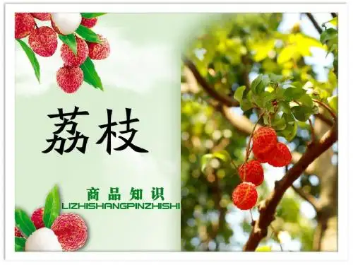 荔枝商品知识
