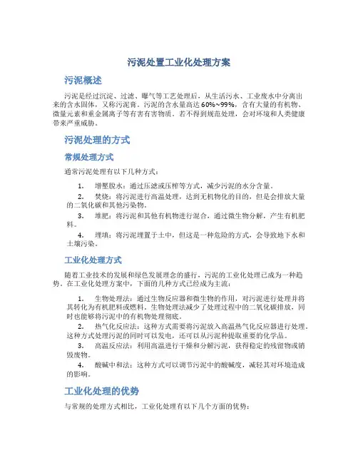 污泥处置工业化处理方案