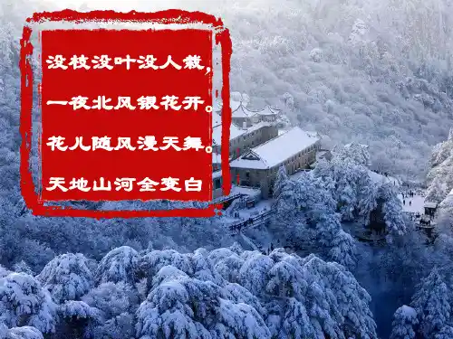 七年级上学期语文第8课 咏雪