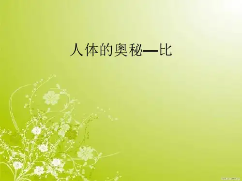 青岛版六年级上册数学人体的奥秘——比