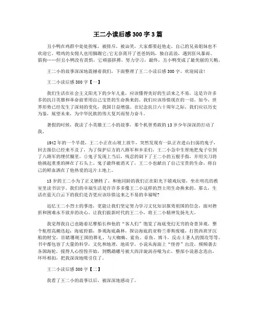 王二小读后感300字3篇