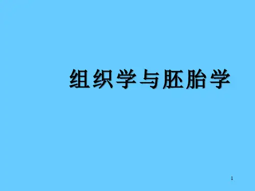 组织学与胚胎学PPT课件