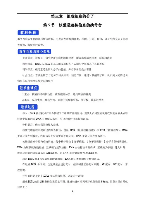 统编人教版高中必修一生物《第5节 核酸是遗传信息的携带者》集体备课教案教学设计