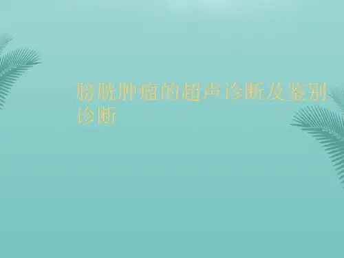 【推荐文档】膀胱肿瘤的超声诊断及鉴别诊断PPT