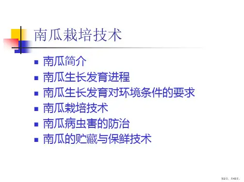 南瓜栽培技术PPT课件PPT43页
