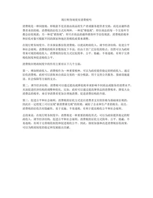 现行财务制度有消费税吗