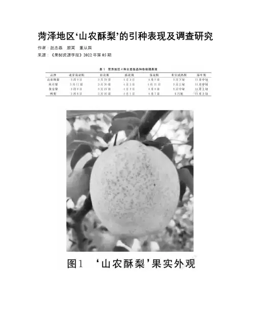菏泽地区‘山农酥梨’的引种表现及调查研究