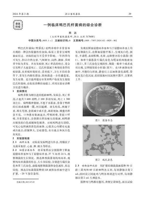 一例临床鸭巴氏杆菌病的综合诊断