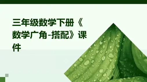 三年级数学下册《数学广角-搭配》课件