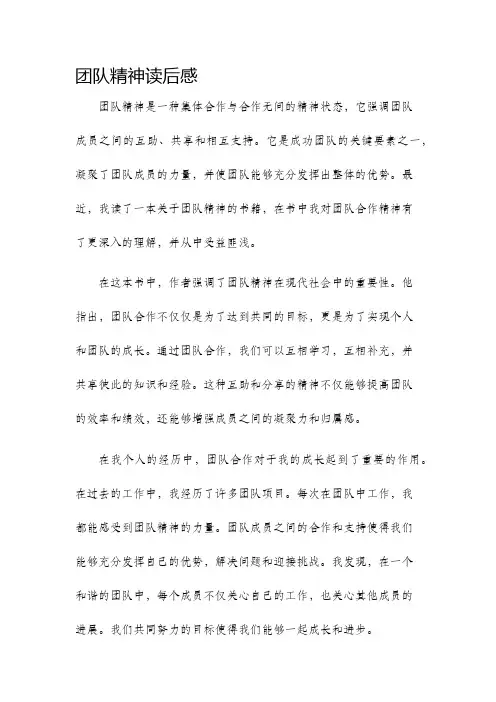 团队精神读后感
