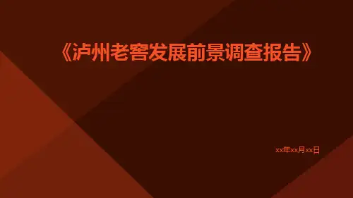 泸州老窖发展前景调查报告
