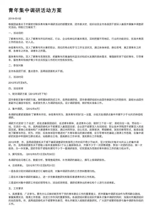 青年集中调研活动方案