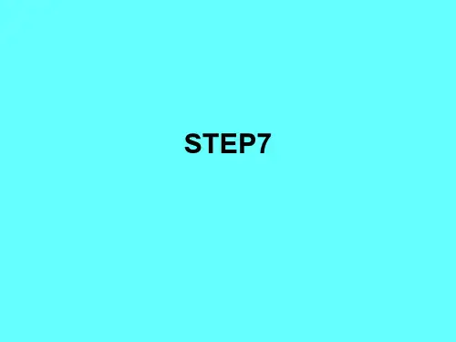 STEP7_使用
