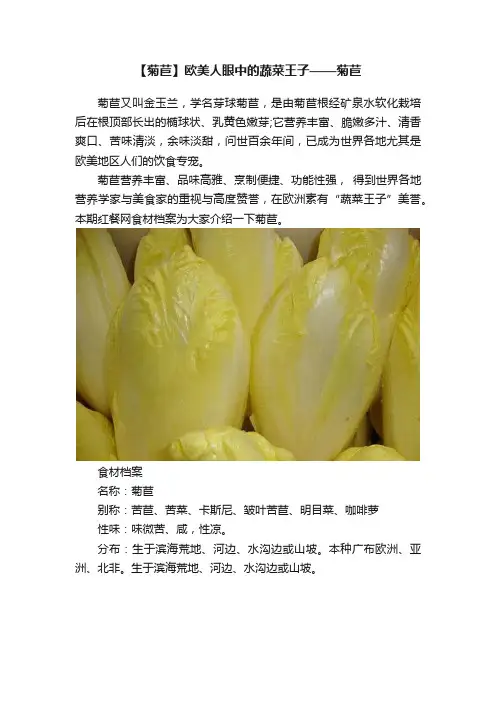 【菊苣】欧美人眼中的蔬菜王子——菊苣