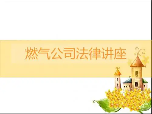 普法课件：燃气公司法律知识讲座