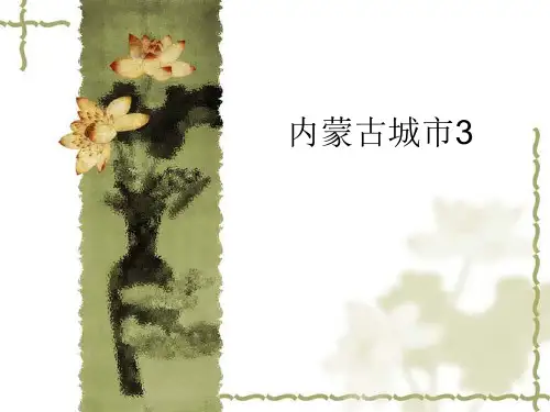 内蒙古城市3