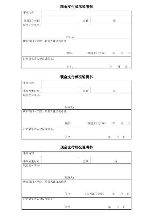 现金支付情况说明书