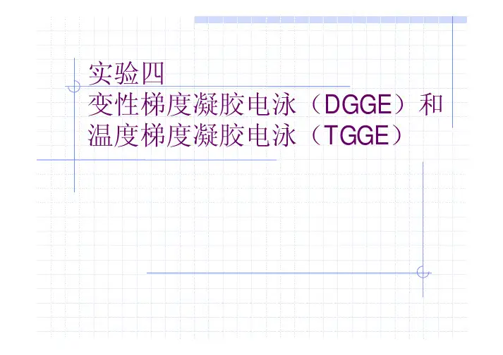 实验4 变性梯度凝胶电泳(DGGE)和温度梯度凝胶电泳(TGGE)