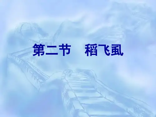 第八章 水稻害虫 第二节 稻飞虱  农业昆虫学教学课件