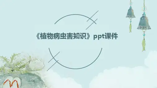 《植物病虫害知识》课件