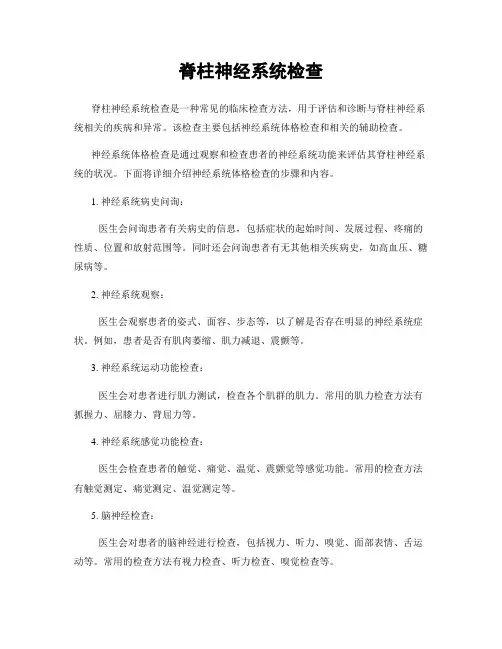 脊柱神经系统检查