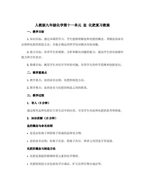 人教版九年级化学第十一单元 盐 化肥复习教案
