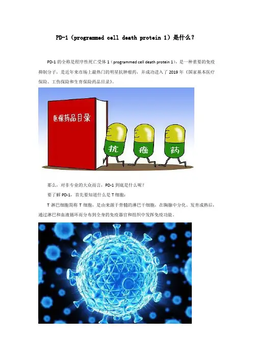 PD-1(programmed cell death protein 1)是什么？