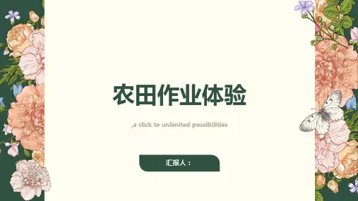 小学生的农田作业体验