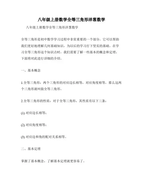 八年级上册数学全等三角形洋葱数学