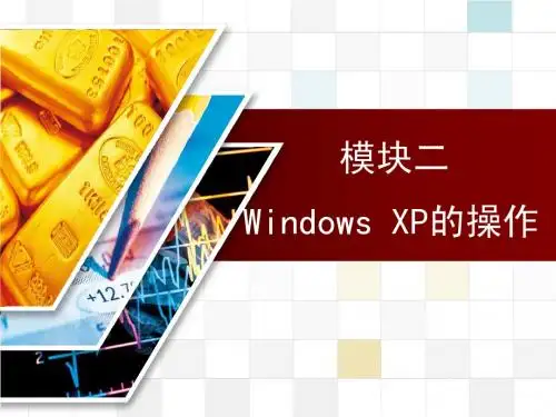 模块二 Windows XP的操作(定稿)