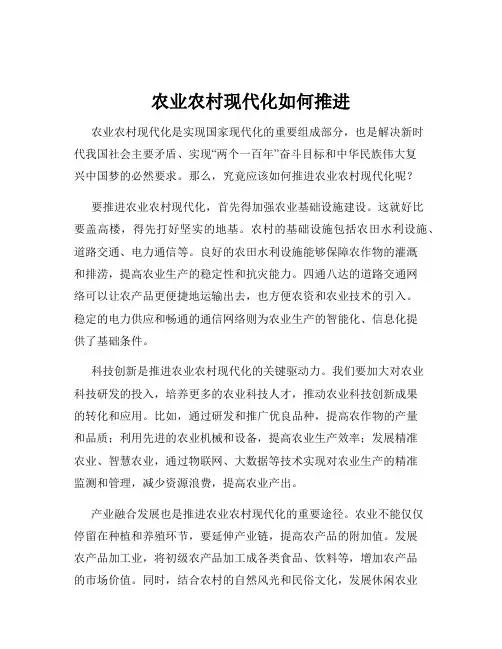 农业农村现代化如何推进