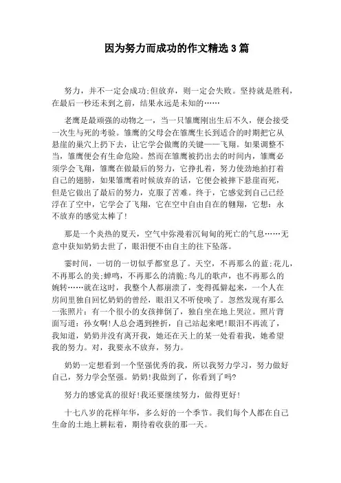 因为努力而成功的作文精选3篇